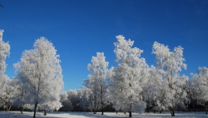 Hartje Winter arrangement