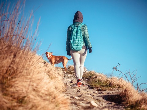 wandelen in Brabant